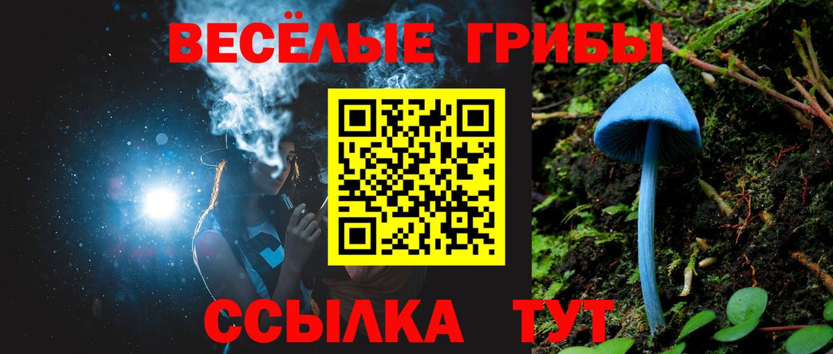 Крымск  Псилоцибиновые грибы MAGIC MUSHROOMS  Вход с VPN 